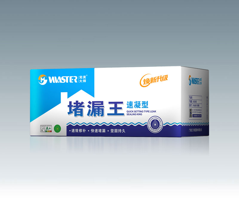 堵漏王